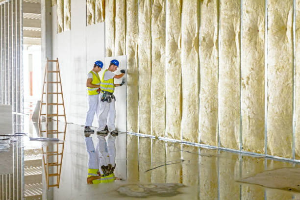 Best Attic Insulation Installation  in USA